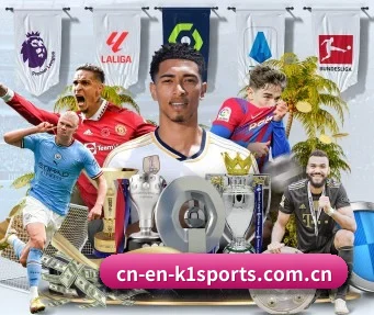 k1体育 APP(k1sports)